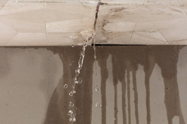 Professional Structural Drying technician working in Athens, MI